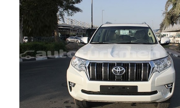 Buy Used Toyota Prado White Car in Asgabat in Asgabat