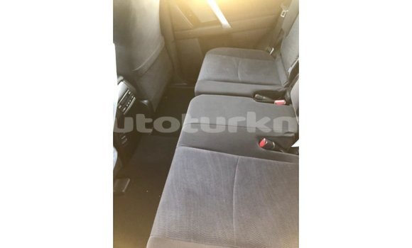 Buy Import Toyota Prado Black Car in Import - Dubai in Ahal Buy Import Toyota Prado Black Car in Import - Dubai in Ahal