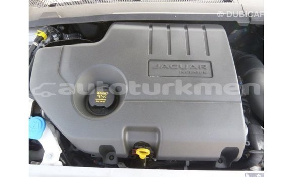 Buy Import Jaguar E-Pace White Car in Import - Dubai in Ahal Buy Import Jaguar E-Pace White Car in Import - Dubai in Ahal