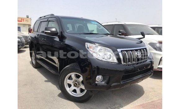 Buy Import Toyota Prado Black Car in Import - Dubai in Ahal Buy Import Toyota Prado Black Car in Import - Dubai in Ahal