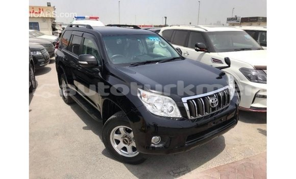 Buy Import Toyota Prado Black Car in Import - Dubai in Ahal Buy Import Toyota Prado Black Car in Import - Dubai in Ahal