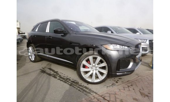 Buy Import Jaguar F-Type Black Car in Import - Dubai in Ahal