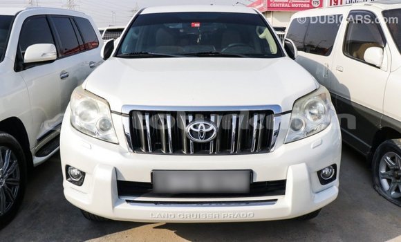Buy Import Toyota Prado White Car in Import - Dubai in Ahal Buy Import Toyota Prado White Car in Import - Dubai in Ahal