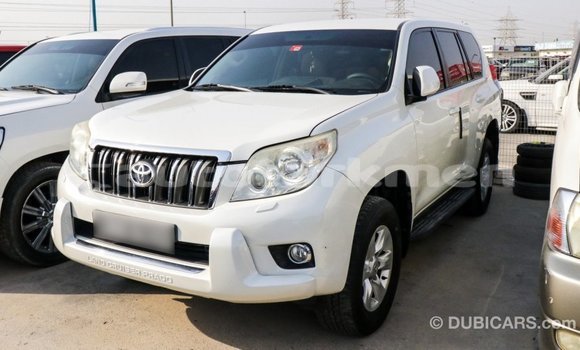 Buy Import Toyota Prado White Car in Import - Dubai in Ahal Buy Import Toyota Prado White Car in Import - Dubai in Ahal