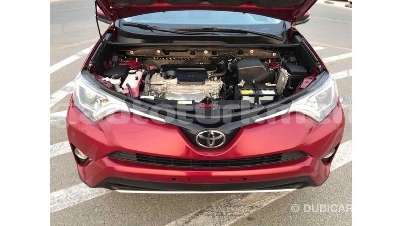 Big with watermark e7f72e66 0866 4e6d 92cb 011878ecc6a3