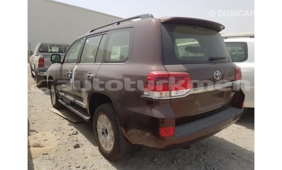 Buy Import Toyota Land Cruiser Brown Car in Import - Dubai in Ahal Buy Import Toyota Land Cruiser Brown Car in Import - Dubai in Ahal