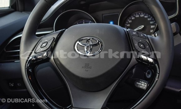 Buy Import Toyota C-HR Other Car in Import - Dubai in Ahal Buy Import Toyota C-HR Other Car in Import - Dubai in Ahal