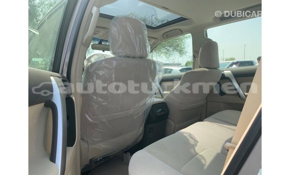 Buy Import Toyota Prado Brown Car in Import - Dubai in Ahal Buy Import Toyota Prado Brown Car in Import - Dubai in Ahal