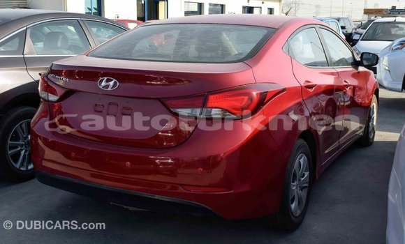 Buy Import Hyundai Elantra Red Car in Import - Dubai in Ahal Buy Import Hyundai Elantra Red Car in Import - Dubai in Ahal