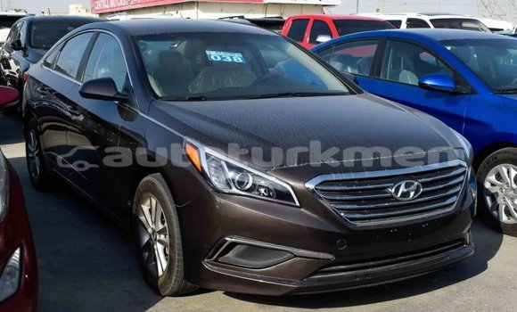 Buy Import Hyundai Sonata Brown Car in Import - Dubai in Ahal Buy Import Hyundai Sonata Brown Car in Import - Dubai in Ahal