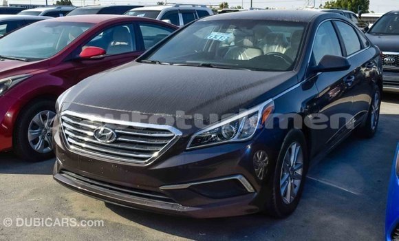 Buy Import Hyundai Sonata Brown Car in Import - Dubai in Ahal Buy Import Hyundai Sonata Brown Car in Import - Dubai in Ahal