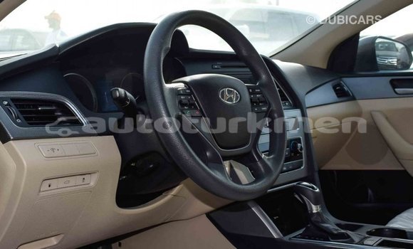 Buy Import Hyundai Sonata Brown Car in Import - Dubai in Ahal Buy Import Hyundai Sonata Brown Car in Import - Dubai in Ahal