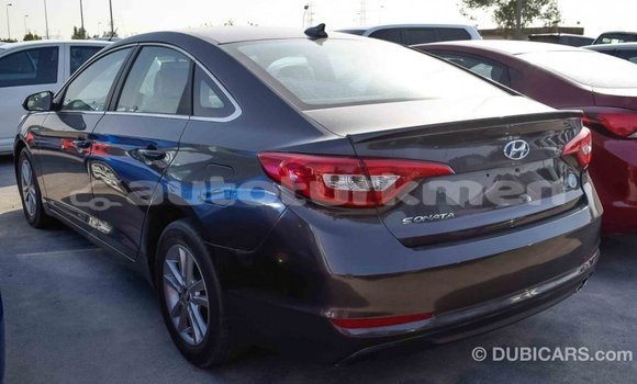 Buy Import Hyundai Sonata Brown Car in Import - Dubai in Ahal Buy Import Hyundai Sonata Brown Car in Import - Dubai in Ahal
