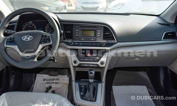 Buy Import Hyundai Elantra Blue Car in Import - Dubai in Ahal Buy Import Hyundai Elantra Blue Car in Import - Dubai in Ahal