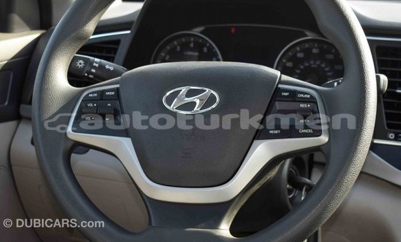 Buy Import Hyundai Elantra Blue Car in Import - Dubai in Ahal Buy Import Hyundai Elantra Blue Car in Import - Dubai in Ahal