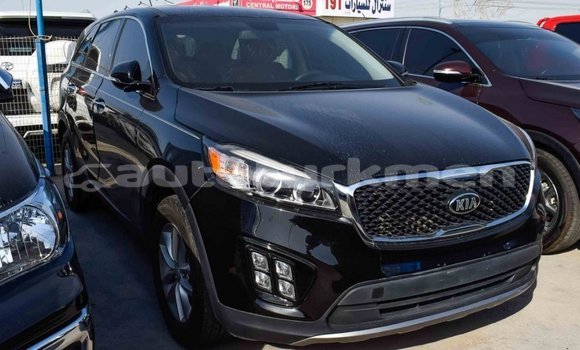 Buy Import Kia Sorento Black Car in Import - Dubai in Ahal Buy Import Kia Sorento Black Car in Import - Dubai in Ahal