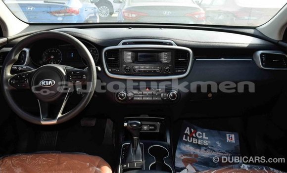 Buy Import Kia Sorento Black Car in Import - Dubai in Ahal Buy Import Kia Sorento Black Car in Import - Dubai in Ahal