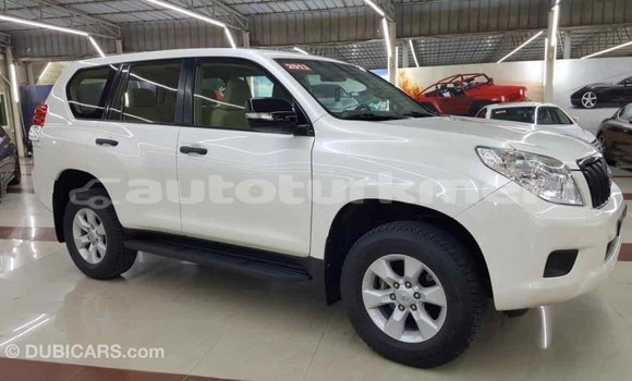Buy Import Toyota Prado White Car in Import - Dubai in Ahal Buy Import Toyota Prado White Car in Import - Dubai in Ahal