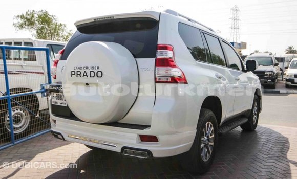 Buy Import Toyota Prado White Car in Import - Dubai in Ahal Buy Import Toyota Prado White Car in Import - Dubai in Ahal