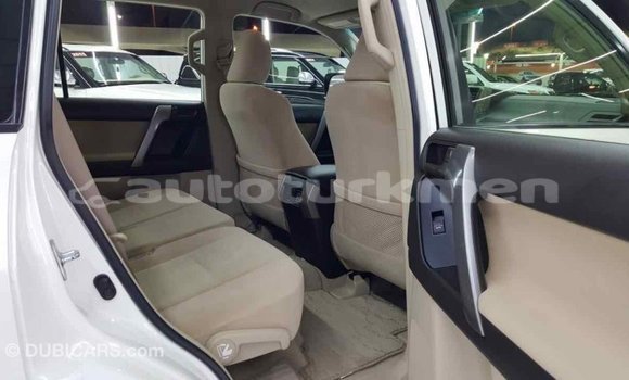 Buy Import Toyota Prado White Car in Import - Dubai in Ahal Buy Import Toyota Prado White Car in Import - Dubai in Ahal