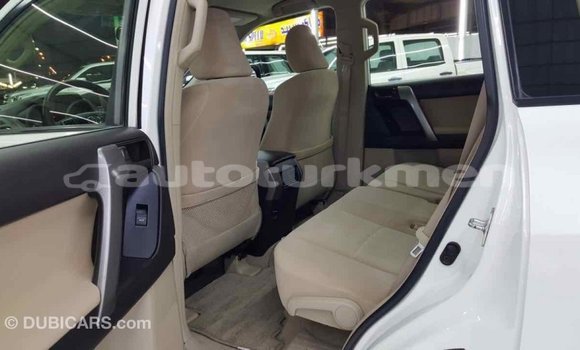 Buy Import Toyota Prado White Car in Import - Dubai in Ahal Buy Import Toyota Prado White Car in Import - Dubai in Ahal