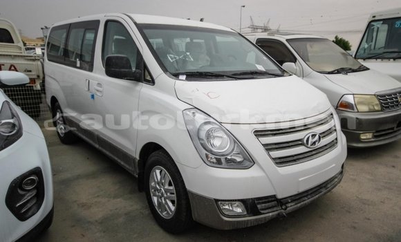 Buy Import Hyundai Chorus White Truck in Import - Dubai in Ahal