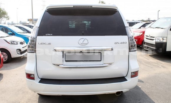 Buy Import Lexus GX White Car in Import - Dubai in Ahal Buy Import Lexus GX White Car in Import - Dubai in Ahal