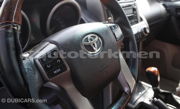 Buy Import Toyota Prado Other Car in Import - Dubai in Ahal Buy Import Toyota Prado Other Car in Import - Dubai in Ahal