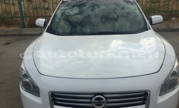Buy Used Nissan Maxima White Car in Asgabat in Asgabat