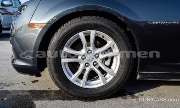 Buy Import Chevrolet Camaro Other Car in Import - Dubai in Ahal Buy Import Chevrolet Camaro Other Car in Import - Dubai in Ahal