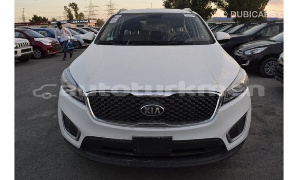 Buy Import Kia Sorento White Car in Import - Dubai in Ahal
