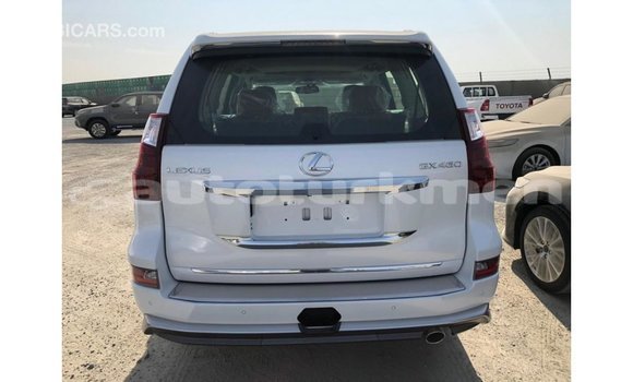 Buy Import Lexus GX White Car in Import - Dubai in Ahal Buy Import Lexus GX White Car in Import - Dubai in Ahal