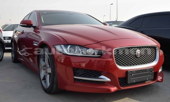 Buy Import Jaguar XE Red Car in Import - Dubai in Ahal