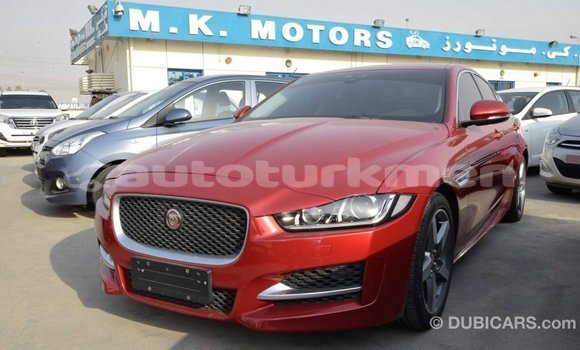 Buy Import Jaguar XE Red Car in Import - Dubai in Ahal Buy Import Jaguar XE Red Car in Import - Dubai in Ahal