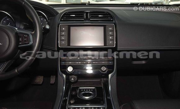 Buy Import Jaguar XE Red Car in Import - Dubai in Ahal Buy Import Jaguar XE Red Car in Import - Dubai in Ahal