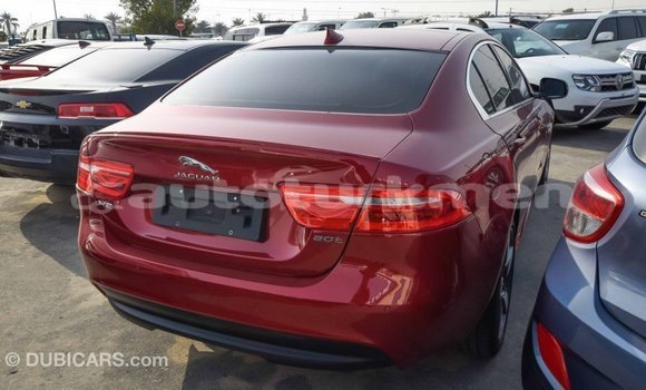 Buy Import Jaguar XE Red Car in Import - Dubai in Ahal Buy Import Jaguar XE Red Car in Import - Dubai in Ahal