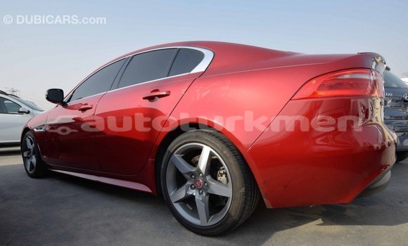 Buy Import Jaguar XE Red Car in Import - Dubai in Ahal Buy Import Jaguar XE Red Car in Import - Dubai in Ahal