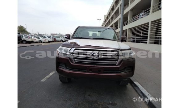 Buy Import Toyota Land Cruiser Brown Car in Import - Dubai in Ahal Buy Import Toyota Land Cruiser Brown Car in Import - Dubai in Ahal