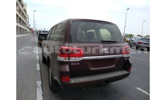 Buy Import Toyota Land Cruiser Brown Car in Import - Dubai in Ahal Buy Import Toyota Land Cruiser Brown Car in Import - Dubai in Ahal