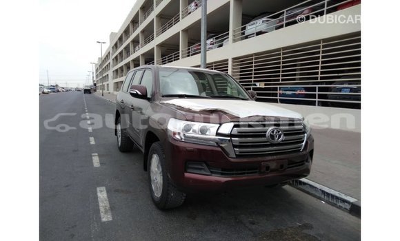 Buy Import Toyota Land Cruiser Brown Car in Import - Dubai in Ahal Buy Import Toyota Land Cruiser Brown Car in Import - Dubai in Ahal