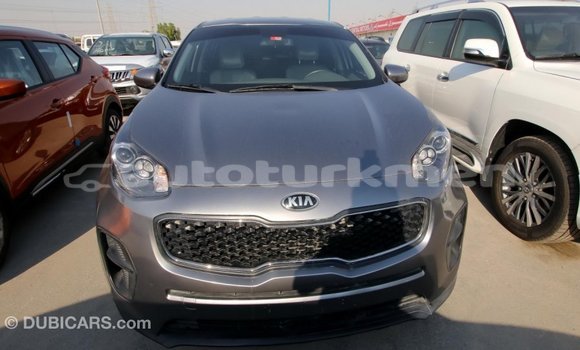 Buy Import Kia Sportage Other Car in Import - Dubai in Ahal Buy Import Kia Sportage Other Car in Import - Dubai in Ahal