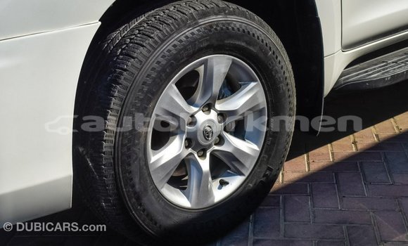 Buy Import Toyota Prado White Car in Import - Dubai in Ahal Buy Import Toyota Prado White Car in Import - Dubai in Ahal