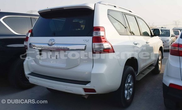 Buy Import Toyota Prado White Car in Import - Dubai in Ahal Buy Import Toyota Prado White Car in Import - Dubai in Ahal