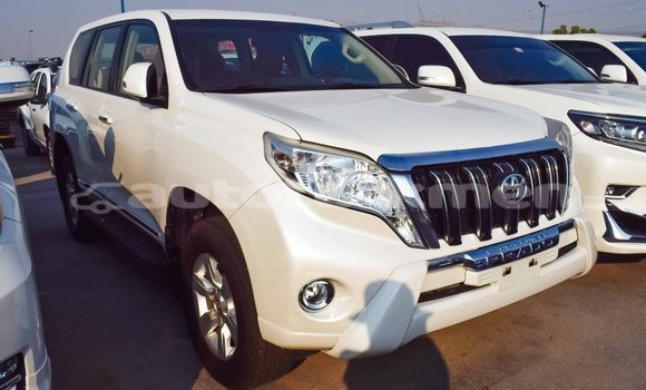 Buy Import Toyota Prado White Car in Import - Dubai in Ahal Buy Import Toyota Prado White Car in Import - Dubai in Ahal
