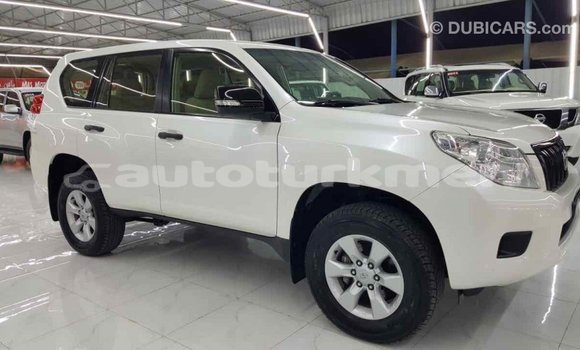 Buy Import Toyota Prado White Car in Import - Dubai in Ahal Buy Import Toyota Prado White Car in Import - Dubai in Ahal