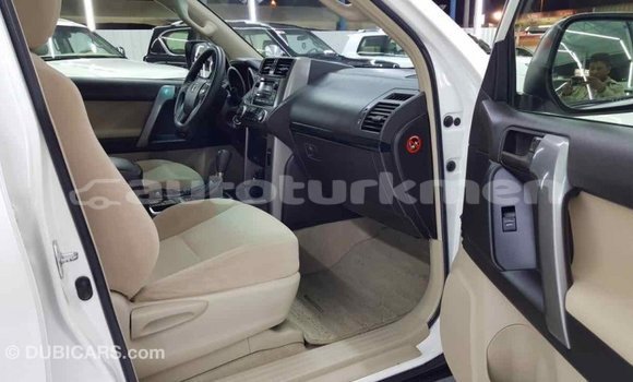 Buy Import Toyota Prado White Car in Import - Dubai in Ahal Buy Import Toyota Prado White Car in Import - Dubai in Ahal