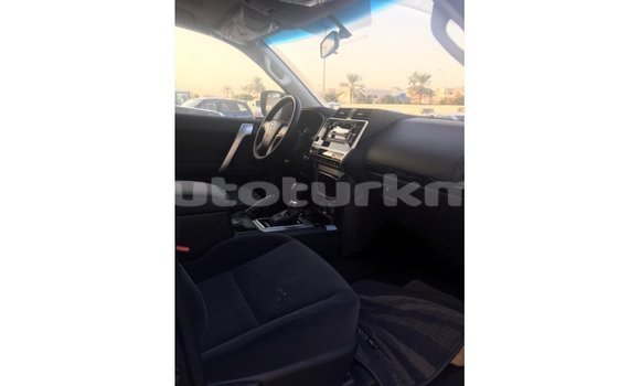 Buy Import Toyota Prado Black Car in Import - Dubai in Ahal Buy Import Toyota Prado Black Car in Import - Dubai in Ahal