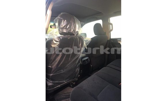 Buy Import Toyota Prado Black Car in Import - Dubai in Ahal Buy Import Toyota Prado Black Car in Import - Dubai in Ahal