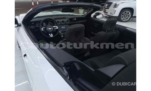 Buy Import Ford Mustang White Car in Import - Dubai in Ahal Buy Import Ford Mustang White Car in Import - Dubai in Ahal