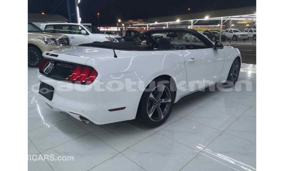 Buy Import Ford Mustang White Car in Import - Dubai in Ahal